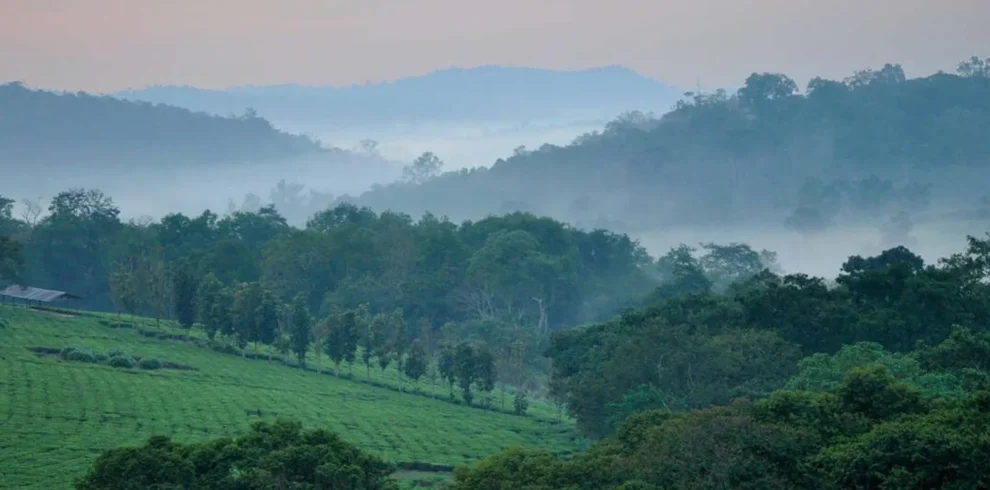 Kibale-Forest-National-Park-2000×833
